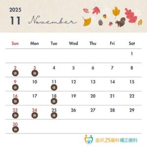 11月休診日